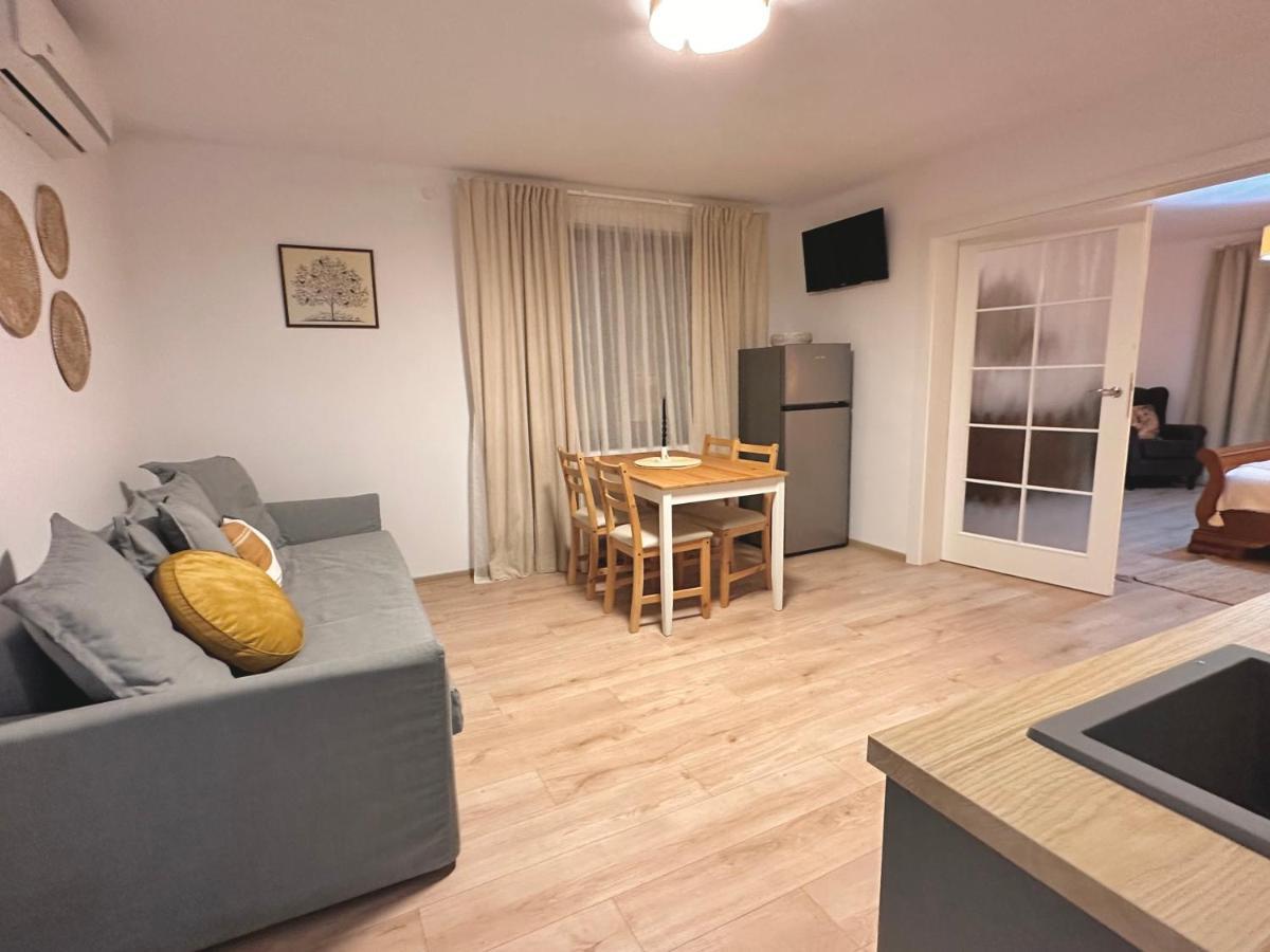 Casa 9 Apartment Albesti (Mures)